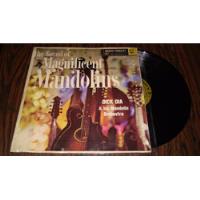 Lp Vinil    Magnificent Mandolin  Dick Dia & His Mandolin.. comprar usado  Brasil 