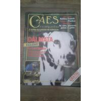 Cães E Cia N. 46 - Flash Editora - Dálmata Bulldog Francês comprar usado  Brasil 