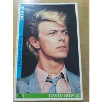 Livro - O Palhaço De Deus - David Bowie comprar usado  Brasil 
