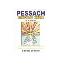 Pessach Ground Zero - N Gontow comprar usado  Brasil 