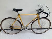 Bicicleta Caloi 10 Sportissima Pintura Original Fabrica  comprar usado  Brasil 