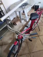 Bicicleta Caloi Poti - Anos 80 comprar usado  Brasil 
