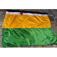 Usado, Bandeira Do Vasco / Verde Amarela Autografada 1996 Cod 4141 comprar usado  Brasil 