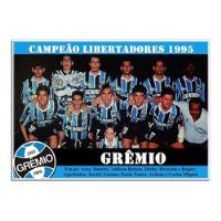 Poster Do Grêmio - Campeão Da Libertadores 1995 [20x30cm] comprar usado  Brasil 