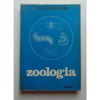 Usado, Livro Zoologia - Clezio Morandini comprar usado  Brasil 