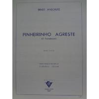 Partitura Piano Pinheirinho Agreste Ernst Anschutz  comprar usado  Brasil 