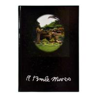 Livro Roberto Burle Marx, usado comprar usado  Brasil 