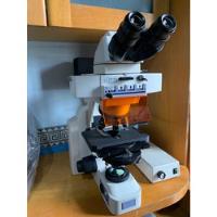 Microscópio Imunofluorescência Nikon Eclipse E400 Biológico comprar usado  Brasil 