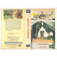 Beethoven O Magnífico - Charles Grodin - Dublado - Dvd comprar usado  Brasil 