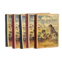 Coleção Encanto E Verdade - 5 Volumes, usado comprar usado  Brasil 