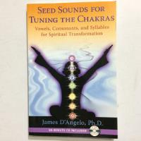 Livro Seed Sounds For Tuning The Chakras - Vowels, Consonants, And Syllables For Spiritual Transformation - Com Cd - James D Angelo Ph.d. [2012] comprar usado  Brasil 