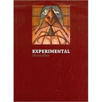 Usado, Livro Experimental - 1ª Edição - Nelson Maravalhas Junior [2011] comprar usado  Brasil 