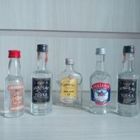 Antigas Garrafas Mini  Vodka  Gin Raras Originais Coleção    comprar usado  Brasil 