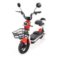 bicicleta eletrica ecobike comprar usado  Brasil 