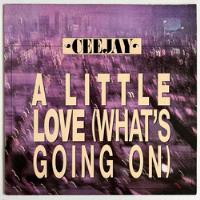 Ceejay - A Little Love (what's Going On) - 12'' Single Ger comprar usado  Brasil 