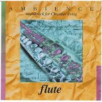 Cd Flute Ambience Soundtrack For  Brentwood Music comprar usado  Brasil 