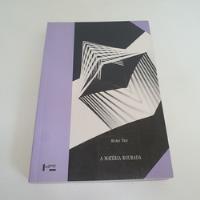 Livro A Matéria Roubada - Michel Paty - L9798, usado comprar usado  Brasil 