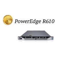 Servidor Dell Poweredge R610 Intel Xeon E5620 24gb 2tb comprar usado  Brasil 