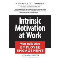Livro Intrinsic Motivation At Work - Kenneth W. Thomas [2009] comprar usado  Brasil 