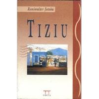 Livro Tiziu - Roniwalter Jatobá [1994] comprar usado  Brasil 