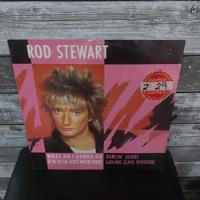 Lp Rod Stewart - What Am I Gonna Do(i'm So In Love With You) comprar usado  Brasil 