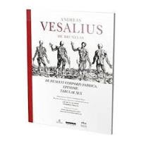 Livro De Humani Corporis Fabrica Epitome Tabulae Sex - Andreas Vesalius De Bruxelas [2002] comprar usado  Brasil 