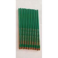 Lápis Para Desenho Artístico Berol Verirhin, Verde Grama 738 comprar usado  Brasil 