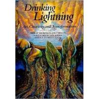 Livro Drinking Lightning - Art, Creativity And Transformation - Philip Rubinov-jacobson [2004] comprar usado  Brasil 