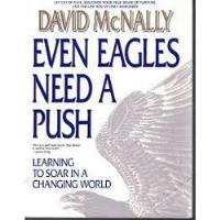 Livro Even Eagles Need A Push: Learning To Soar In A Changing World - David Mcnally [1994], usado comprar usado  Brasil 