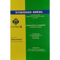 Livro Synergies Brésil - Numero Special Sedifrale Xii - Rio De Janeiro Juin 2001 - Jean Paul Roumegas, Dário Pagel E Serge Borg [2001] comprar usado  Brasil 