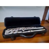 Flauta Transversal Michael Wflm35 Usada comprar usado  Brasil 