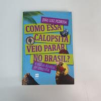 Usado, Livro Como Essa Calopsita Veio Parar No Brasil João Luiz Pedrosa V 2442 comprar usado  Brasil 