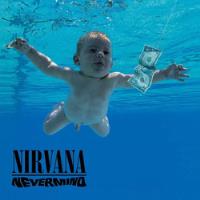 Cd Usado Nirvana - Nevermind comprar usado  Brasil 