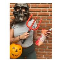 Usado, Cranio Caveira Esqueleto Antigo Usado Halloween Anatomia comprar usado  Brasil 