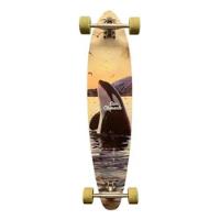 Skate Longboard (10 X 40) + 4 Rodas Hondar comprar usado  Brasil 