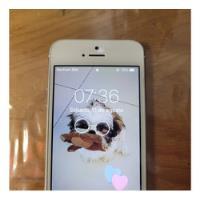 iPhone 5s 16gb Branco comprar usado  Brasil 