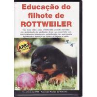 rottweiler filhote comprar usado  Brasil 