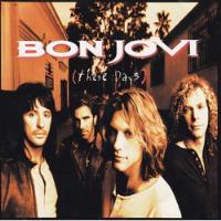 Cd These Days Bon Jovi comprar usado  Brasil 