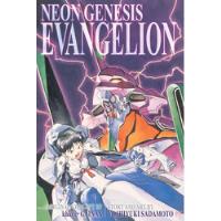 Coleção 5 Mangás Neon Genesis Evangelion De Yoshiyuki Sadamoto Pela Conrad (2003) comprar usado  Brasil 