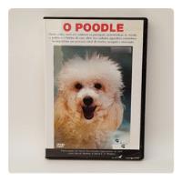 Dvd O Poodle  comprar usado  Brasil 