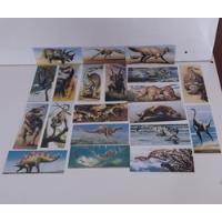 20 Cards Dinossauros,chocolate Surpresa,em Super Bom Estado comprar usado  Brasil 