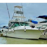 Sedna Xf 335 Pesca Fishing Carbras Mar Victory Florida comprar usado  Brasil 