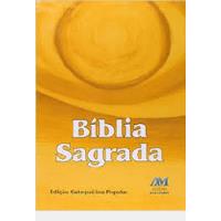 Livro Bíblia Sagrada: Edição Catequética Popular - Editora Ave-maria [2018] comprar usado  Brasil 