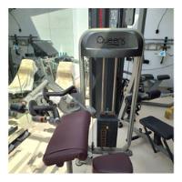 Musculação - Máquina Rosca Scott Biceps/triceps Queens 113kg comprar usado  Brasil 