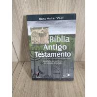 Biblia - Antigo Testamento comprar usado  Brasil 