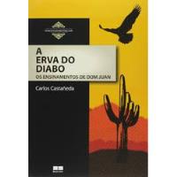 Livro A Erva Do Diabo - Os Ensinamentos De Dom Juan - Carlos Castaneda [2017] comprar usado  Brasil 