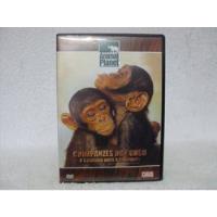 Dvd Chimpanzés Do Congo- O Caminho Para A Liberdade comprar usado  Brasil 