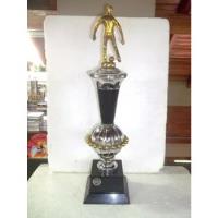 Trofeu Futebol Ginásio T.l Campeão  1988 Alt 48cm Frete 20,0 comprar usado  Brasil 