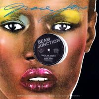 Grace Jones That's The Trouble / Sorry 12 Import Us 1976 comprar usado  Brasil 