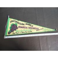 Flamula - Fruticultura Irmaos Brunelli comprar usado  Brasil 